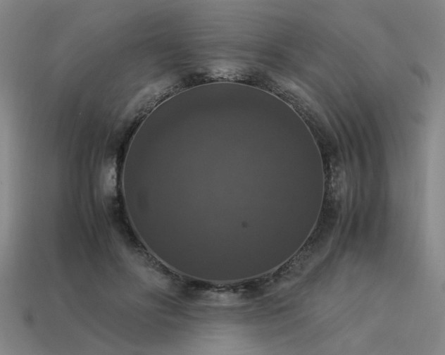 X0000113950502200909251342