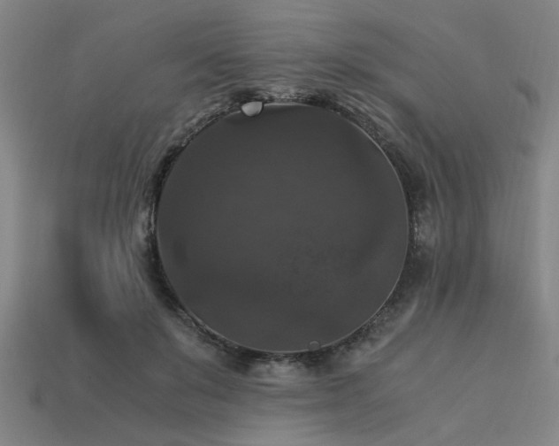 X0000113950503200909251342