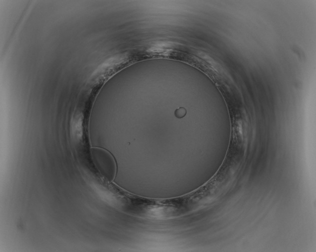 X0000113950504200909251342