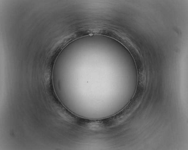 X0000113950505200909251342