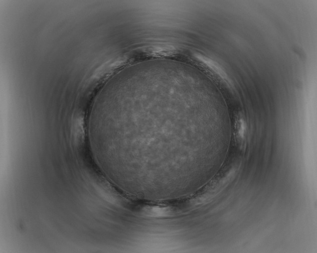 X0000113950506200909251342