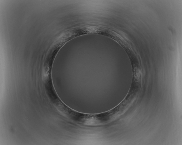 X0000113950507200909251342
