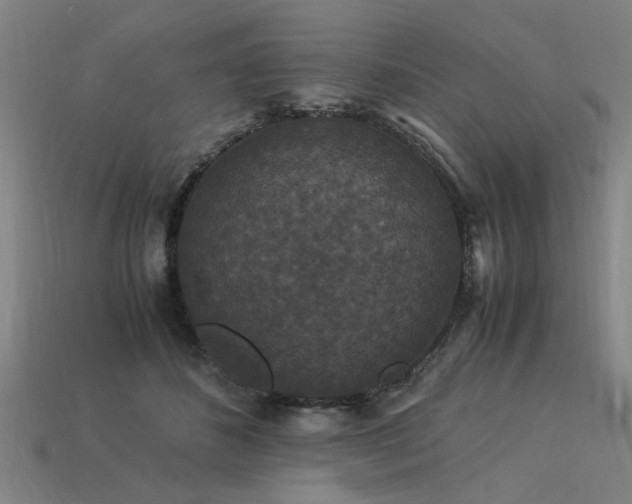 X0000113950508200909251342