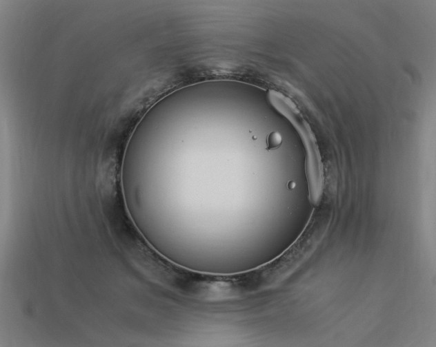 X0000113950509200909251341