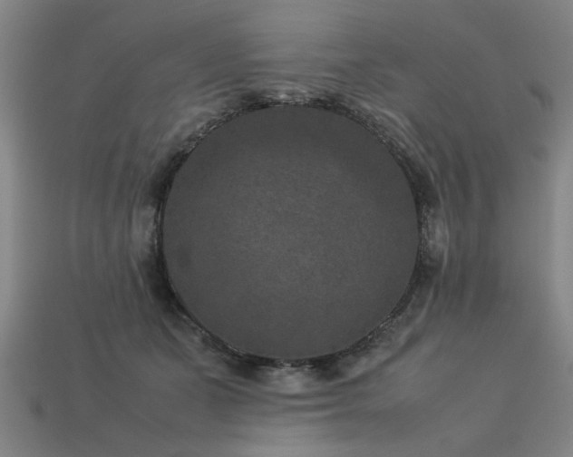 X0000113950511200909251341