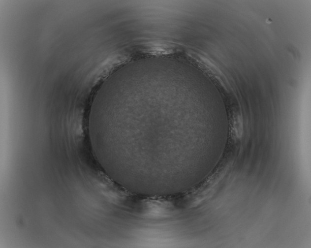 X0000113950512200909251341