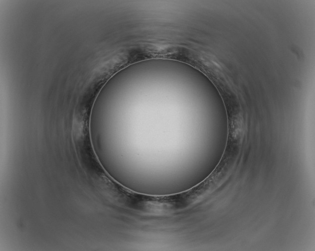 X0000113950515200909251341