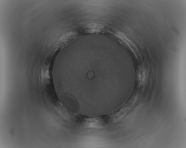 X0000113950516200909251341