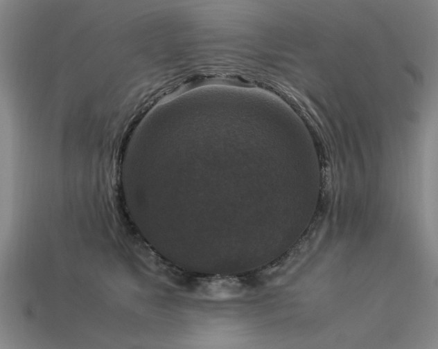 X0000113950517200909251341