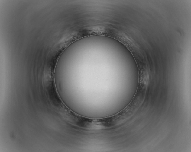 X0000113950518200909251341