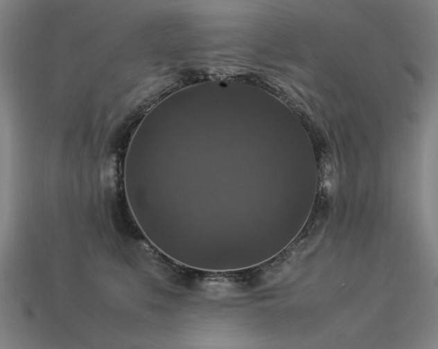 X0000113950519200909251341