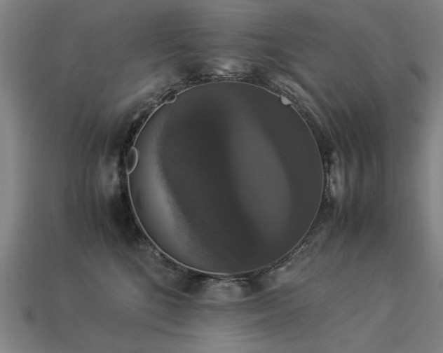 X0000113950520200909251341