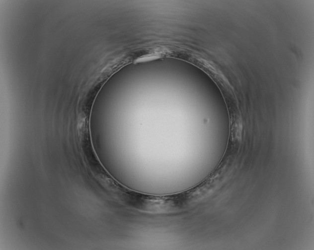X0000113950521200909251341