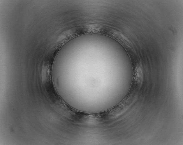 X0000113950522200909251341