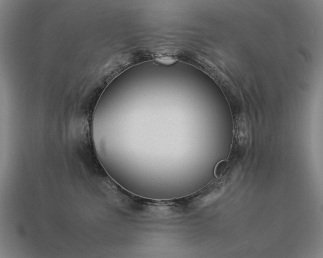 X0000113950523200909251341