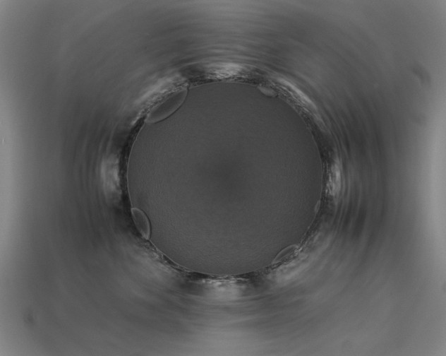 X0000113950524200909251341