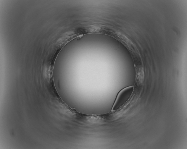 X0000113950525200909251341
