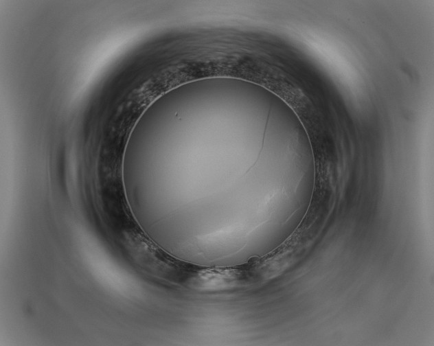 X0000113950526200909251341