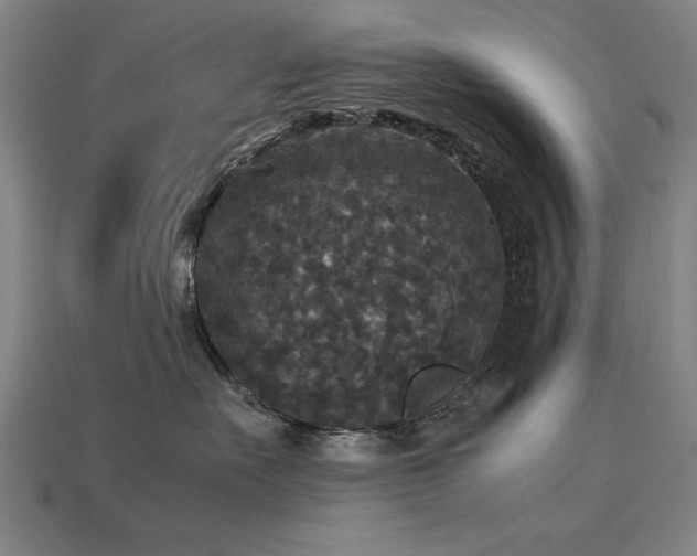 X0000113950527200909251341