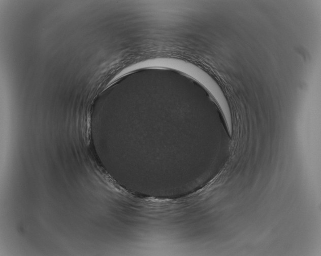 X0000113950528200909251341