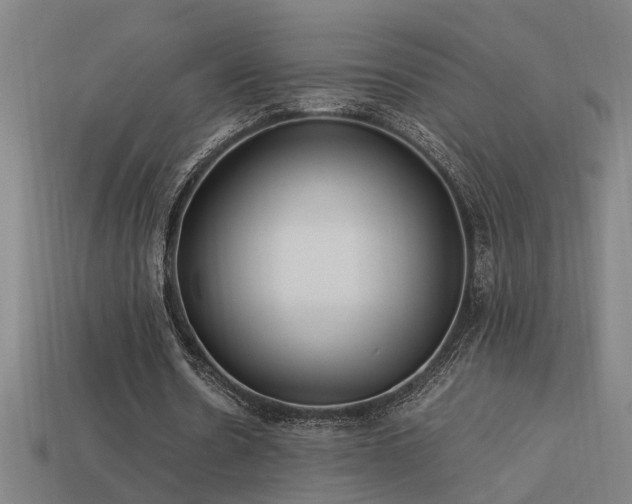 X0000113950530200909251340