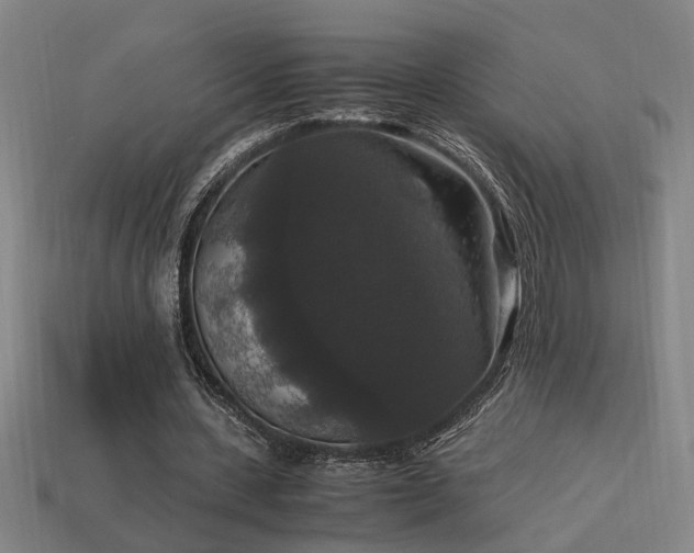 X0000113950531200909251340