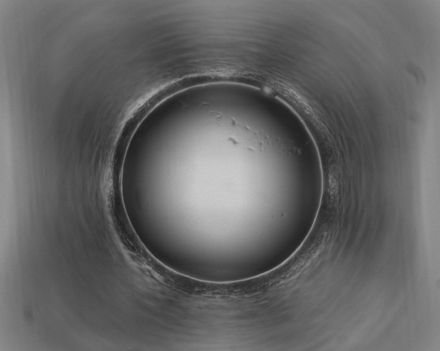 X0000113950532200909251340