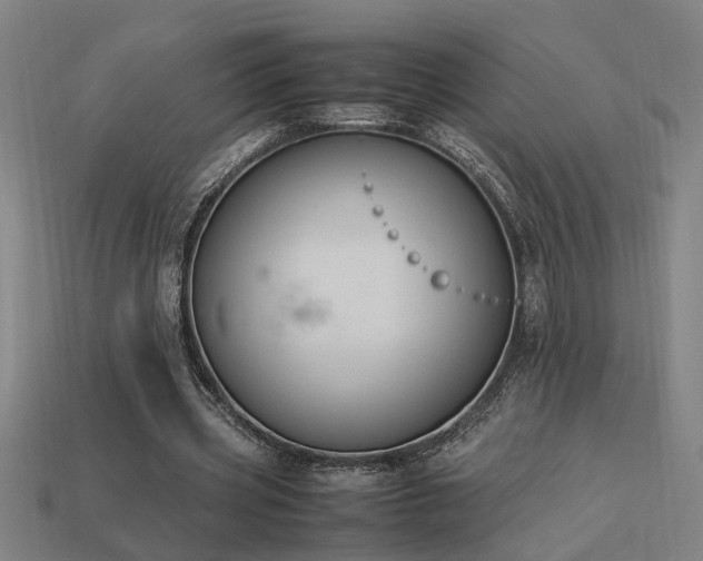 X0000113950533200909251340