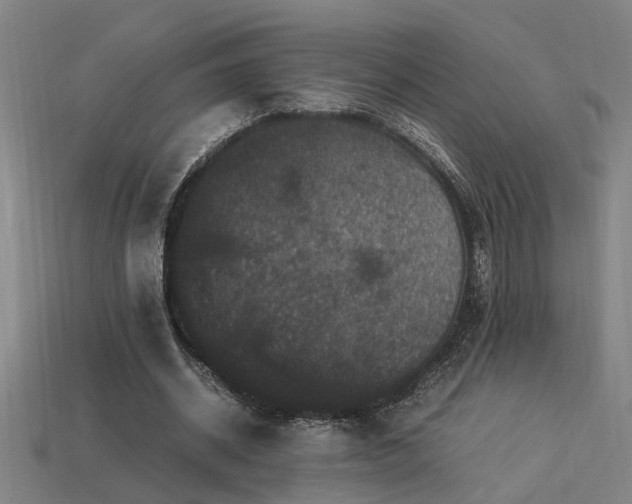 X0000113950534200909251340