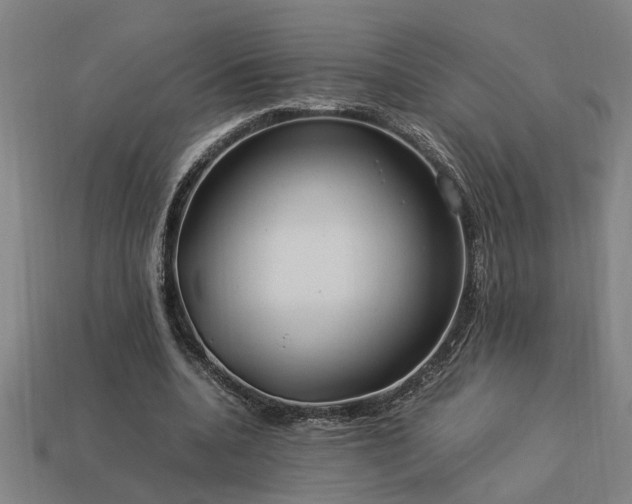 X0000113950536200909251340