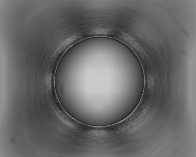 X0000113950537200909251340