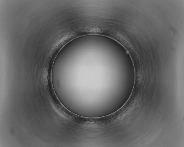 X0000113950538200909251340