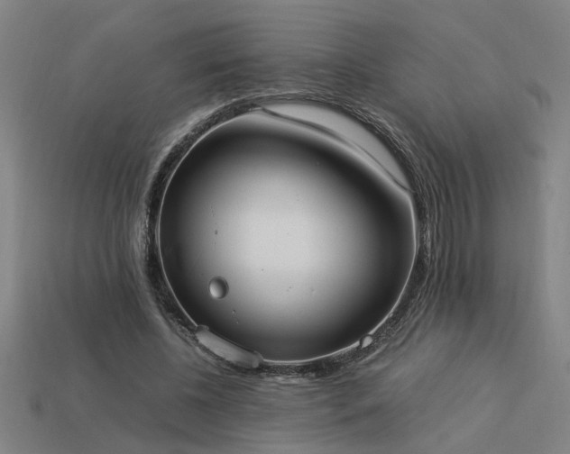 X0000113950540200909251340