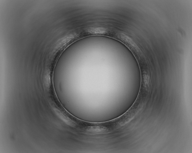 X0000113950541200909251340