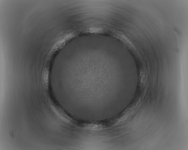 X0000113950542200909251340