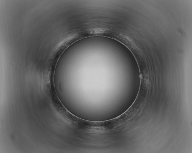 X0000113950543200909251340