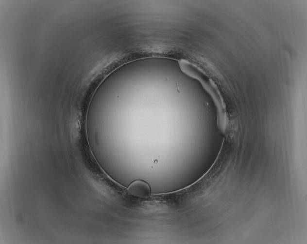 X0000113950544200909251340