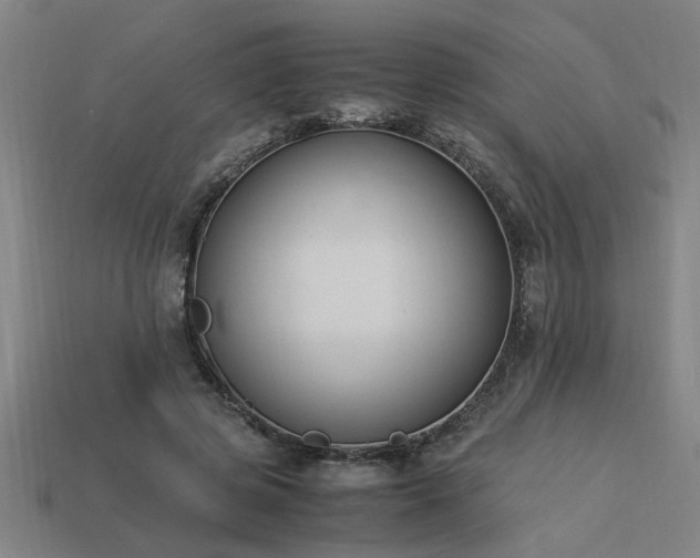 X0000113950545200909251340