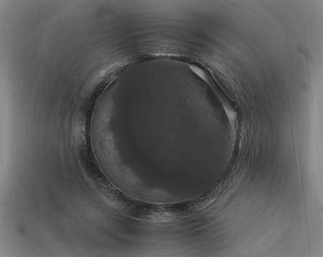 X0000113950547200909251341