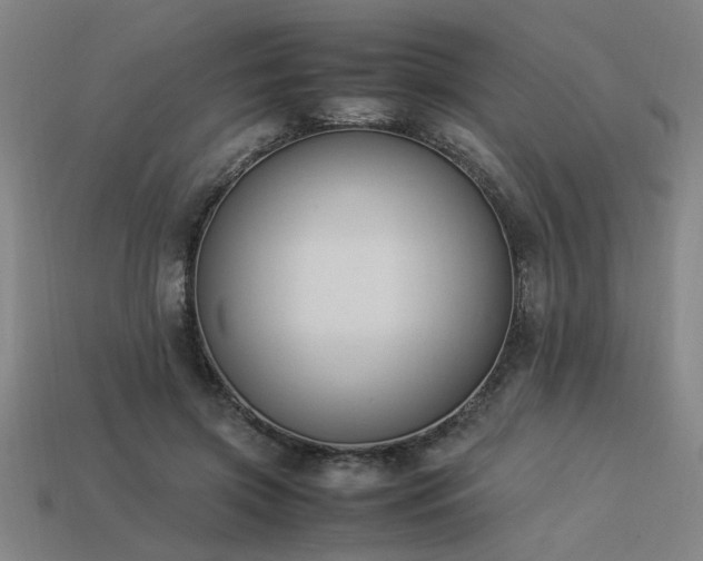 X0000113950549200909251341