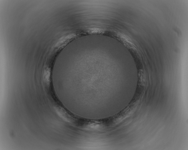 X0000113950550200909251341