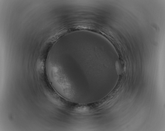 X0000113950551200909251341