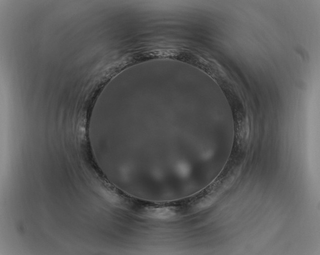 X0000113950553200909251341