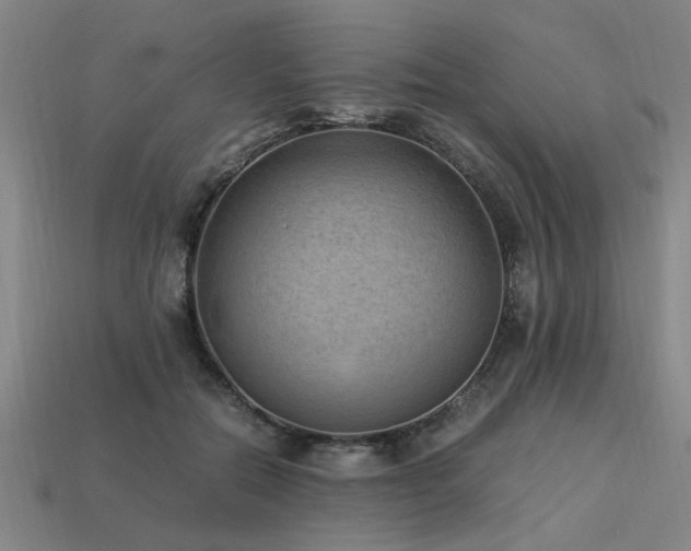X0000113950554200909251341