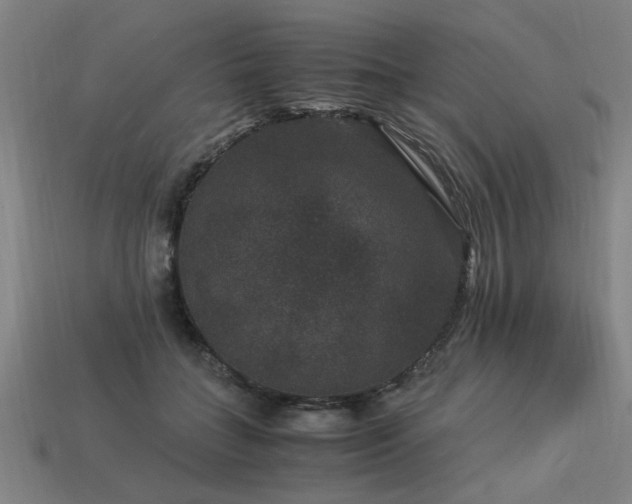 X0000113950555200909251341