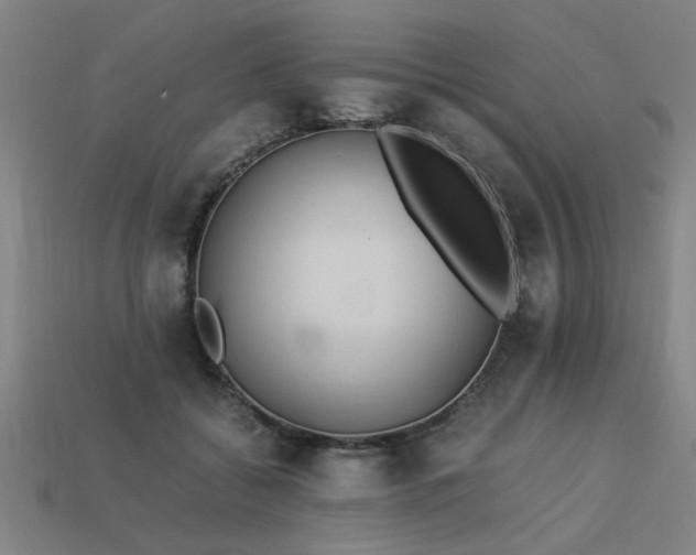 X0000113950556200909251341