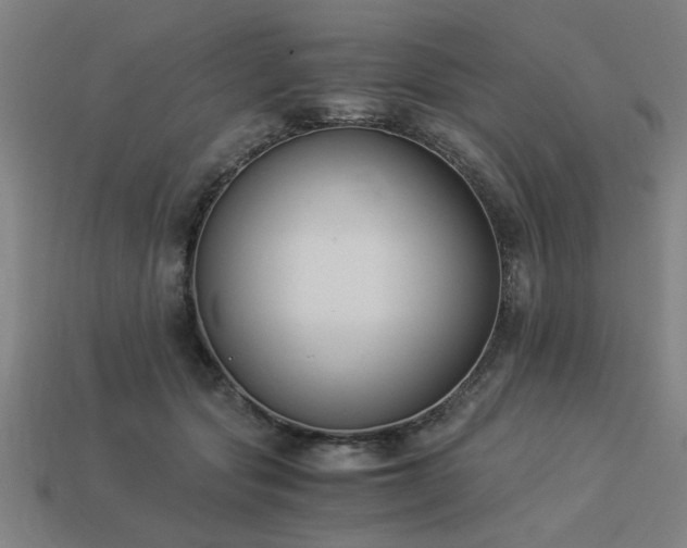 X0000113950557200909251341