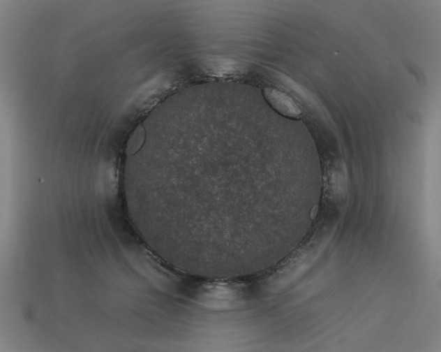 X0000113950558200909251341