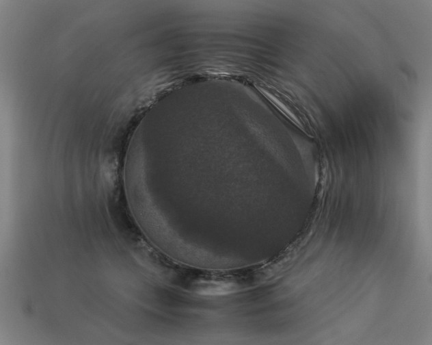 X0000113950559200909251341
