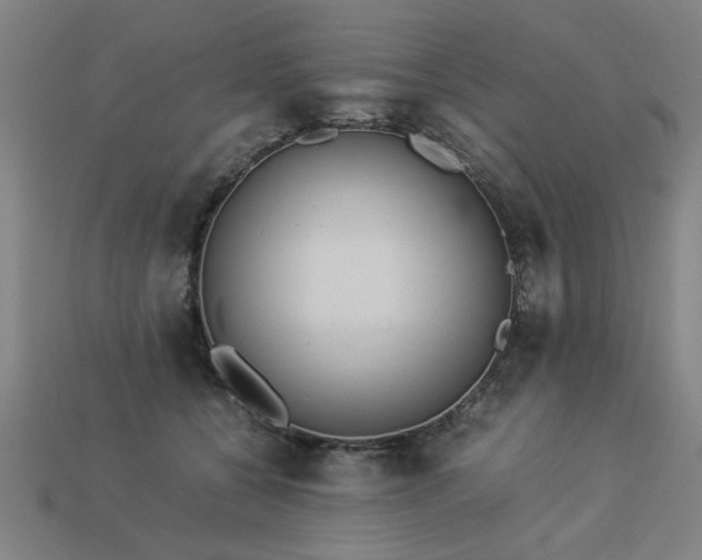 X0000113950560200909251341